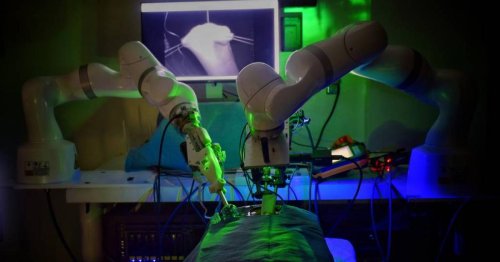 Roboter gelingt komplizierte Operation an Schwein