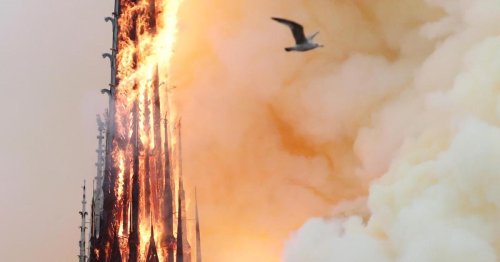 Feuer von Notre Dame liefert überraschende Entdeckung
