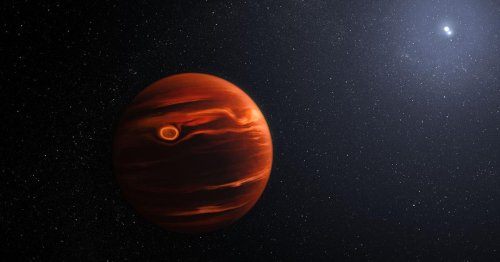 James Webb: Exoplanet mit 2 Sonnen hat ungemütliches Wetter