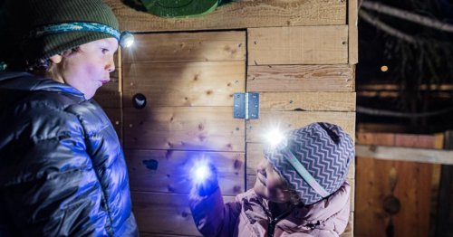 Mitmachen und hochwertiges Stirnlampen-Set von Ledlenser gewinnen