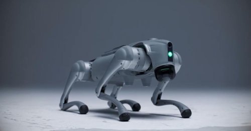 Schwedischer Roboter-Hund hat Nervensystem, um wie Menschen zu lernen