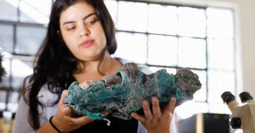 Beunruhigender Fund: Forscher entdecken Plastikgestein auf Insel