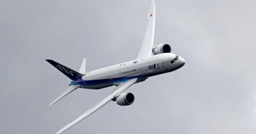 Flügel von Boeing 787 mit Klebeband repariert: Foto geht viral