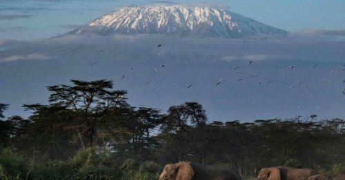 Deshalb erhält der Kilimandscharo High-Speed-Internet