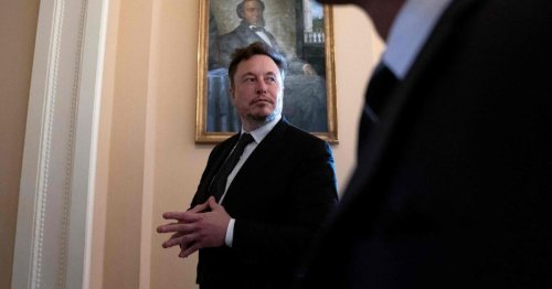 Elon Musk soll darüber gelogen haben, wen er gewählt hat