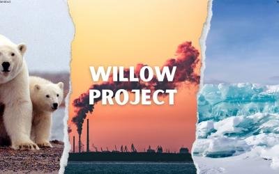 Ölbohrungen in Alaska: Was ist das Willow Project?