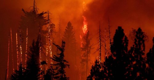 Trockengewitter sorgen für verheerende Waldbrände