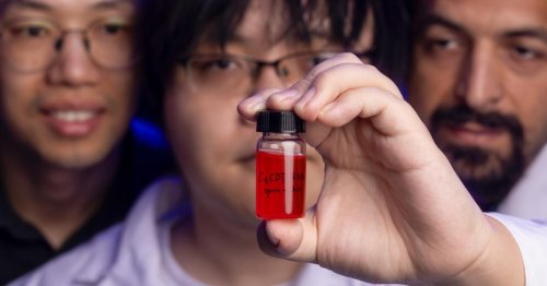 Einzigartiges Molekül macht kleinere, effizientere Computer möglich