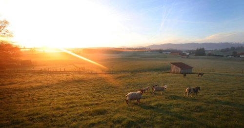 Durchbruch bei Produktion von Wasserstoff nur aus Sonnenlicht