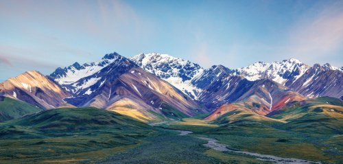 Alaska: Neues Virus fordert erstes Todesopfer