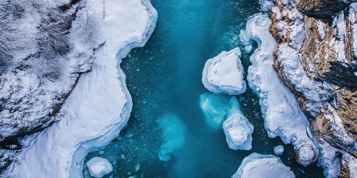 Im Wasser der Arktis: Bisher einzigartige Entdeckung könnte weitreichenden Folgen haben