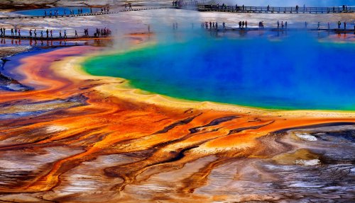Yellowstone: "Aufsteigende Dampfsäule zwischen den Bäumen" – Forscher entdecken neue Aktivität