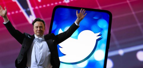 Elon Musk plant wegen Twitter-Kontroverse offenbar Gründung eines eigenen sozialen Netzwerks