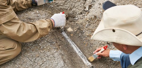 Archäologischer Fund: Mysteriöses Tiergrab überrascht Forscher – „fundamental wichtig“