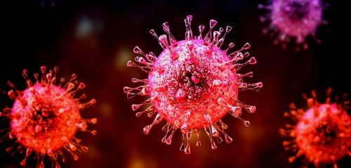 Ozean: Rätselhafter neuer Virus entdeckt – niemand hat so etwas je zuvor gesehen
