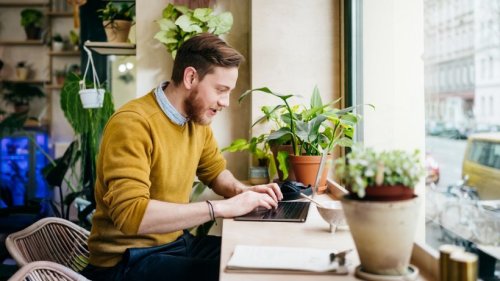Software wird verschenkt: Nur noch einen Tag sparst du 20 Euro