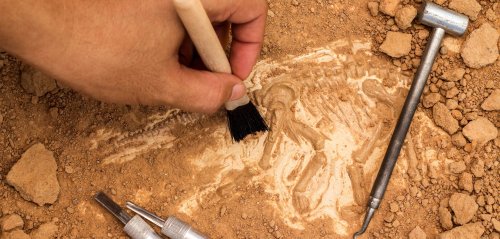 Archäologischer Fund: Hier hielt sich eine bislang unbekannte Sprache versteckt