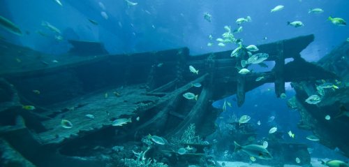 Archäologischer Fund: 6 außergewöhnliche Entdeckungen in der Tiefsee – „unglaublich aufregend“