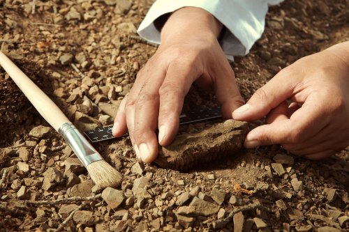 Archäologie: Werkzeug-Fund widerspricht Menschheitsgeschichte – so soll es wirklich abgelaufen sein