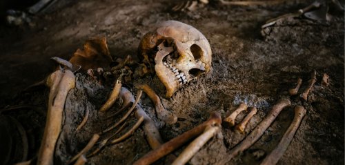 Archäologischer Fund in Deutschland: Forscher rätseln über 4.000 Jahre alten Friedhof