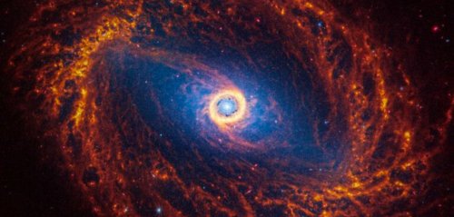 In fernen Galaxien: Eigenartige Strukturen entdeckt – "selbst für Forscher verblüffend"