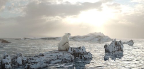 Arktis bedroht: Außergewöhnliches Phänomen beunruhigt Forscher