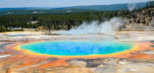 Yellowstone: Forscher machen außergewöhnliche Entdeckung – „sehr vielversprechend“