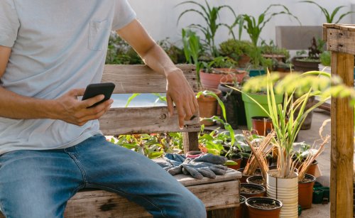 Gartenplaner-App: Die Top 5 im Vergleich (iOS & Android)