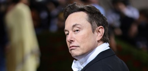 "Totaler Blödsinn": Elon Musk widerspricht Studien zur Überbevölkerung