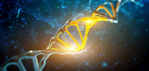 Uralt-Erreger in menschlicher DNA entdeckt: Sie sind immer noch aktiv