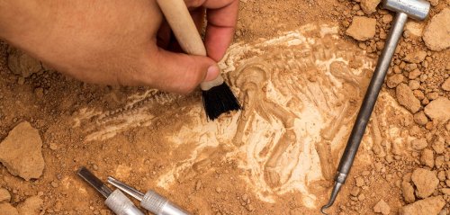 Archäologischer Fund: Einzigartige Knochen entdeckt – sie weisen auf ein uraltes Ritual hin