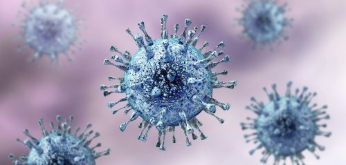 Herpes: Neue Studie lässt auf langfristige Behandlung hoffen