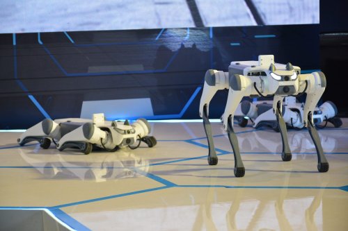 China: Forscher entwickeln wohl Roboter-Waffe - sie könnte vieles verändern