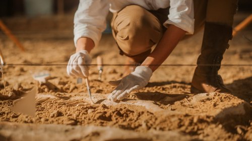 Archäologie: Forscher entdecken beispiellosen Schatz in England – "jedem im Team fehlten die Worte"