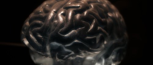 You Have the Power to Physically Reshape Your Brain