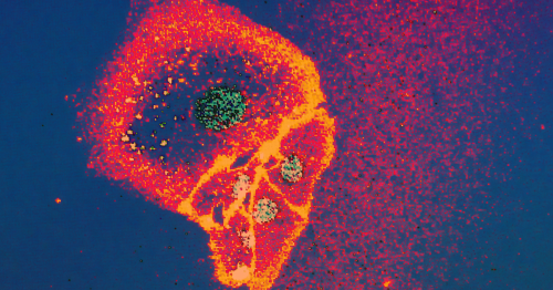 scientists-used-crispr-to-turn-a-cell-into-a-biological-computer