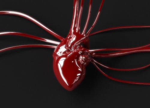 Artificial Organs: We’re Entering an Era Where Transplants Are Obsolete