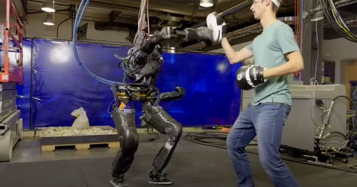 Alarming Video Shows Guy Boxing With Robot