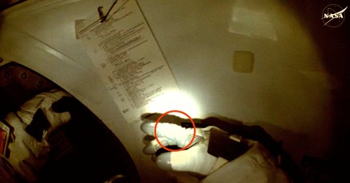 NASA Astronaut Alarmed to Notice "Slice" in Her Suit's Glove During Spacewalk