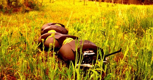 This Robotic Centipede Crawls Farms to Kill Weeds — and Might Join the Military