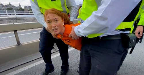 Climate Activist Conducts Interview While Being Carried Away by Police