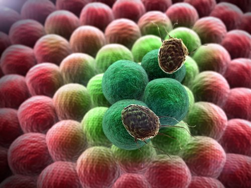Scientists Discovered a "Kill Switch" That Destroys Any Cancer Cell