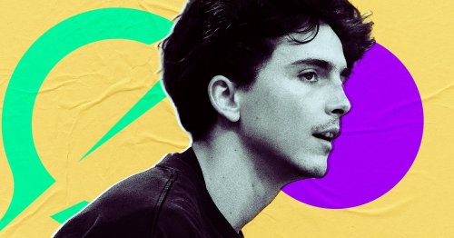 Elon Musk’s AI Bot Doesn't Believe In Timothée Chalamet Because the Media Is Evil