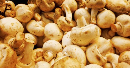 Eating Mushrooms Vastly Cuts Cancer Risk, According to New Research