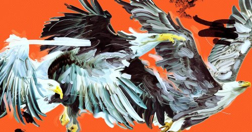Trump Official Says It's Okay to Destroy Endangered Species Because We Can Just Clone Them