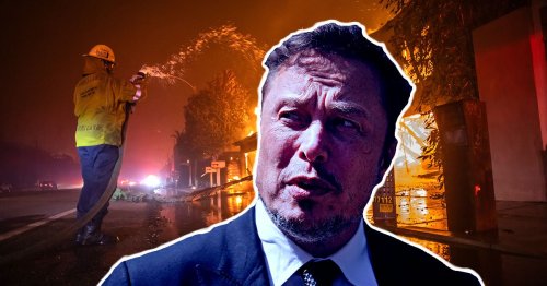 Elon Musk Blames LA Wildfires on Black Firefighters