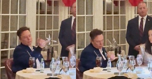 Video Shows Elon Musk Acting Very Strange at Trump Dinner