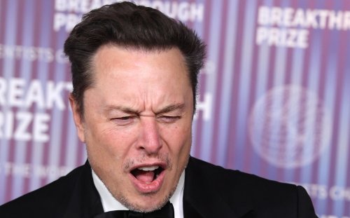 Elon Musk Fires More Than Ten Percent of Tesla's Staff After Alienating Pretty Much Everyone Who Might Have Bought a Tesla