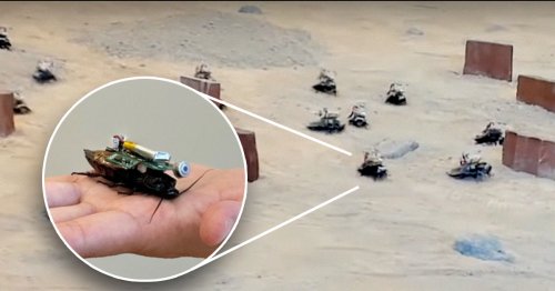Army of Backpack-Wearing Cyborg Cockroaches Swarm Desert Target