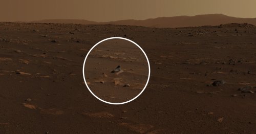 NASA Scientists Spot Strangely Shaped Rock in Latest Mars Panorama
